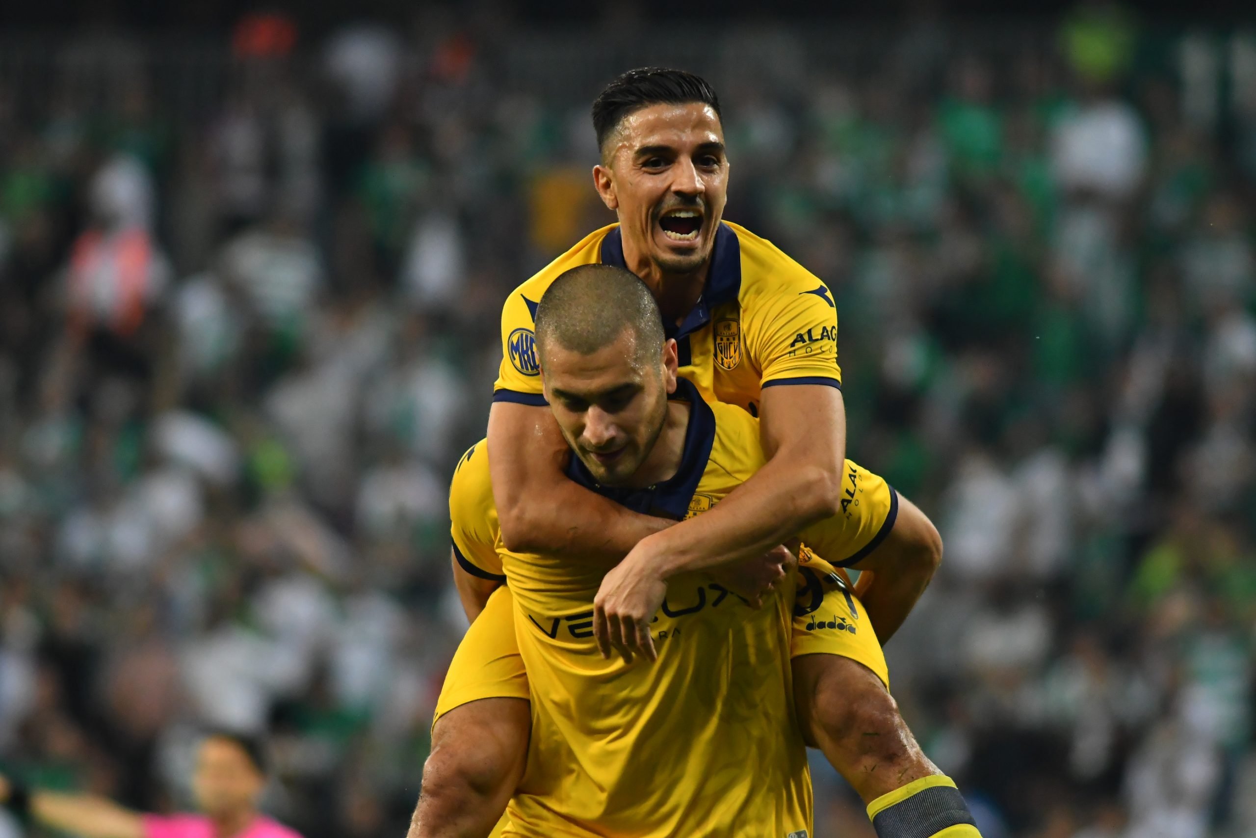 DÖRT DÖRTLÜK SEVİNÇ